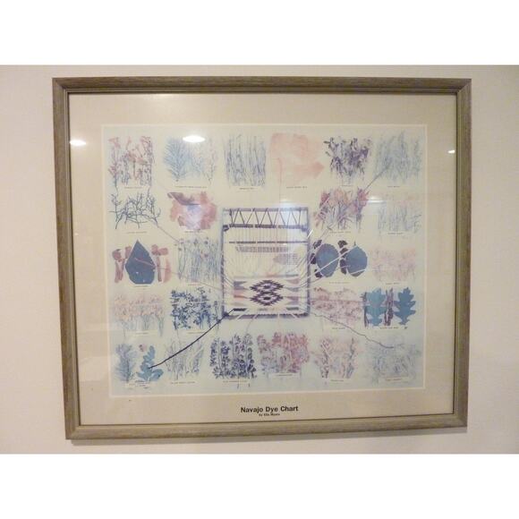Vintage Framed Navajo Plant Dye Chart Print Ella Myers - Picture 1 of 9